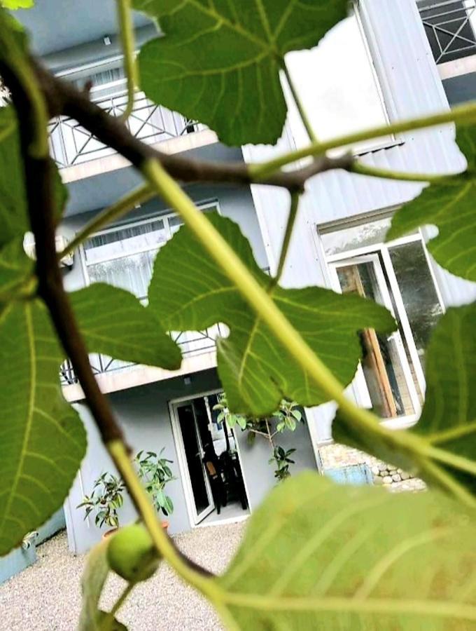 Rio Gonio Hotell Eksteriør bilde